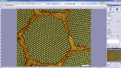 Work flow 1 : Image Acquisition